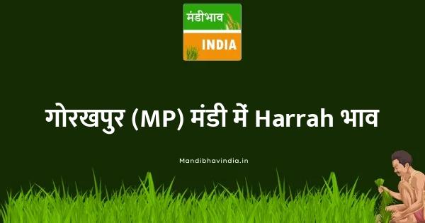 Harrah भाव